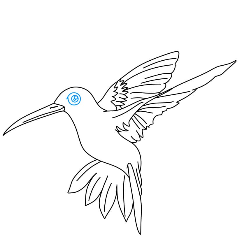 Hướng dẫn cách vẽ chim ruồi đang bay cực đẹp - Bước 6