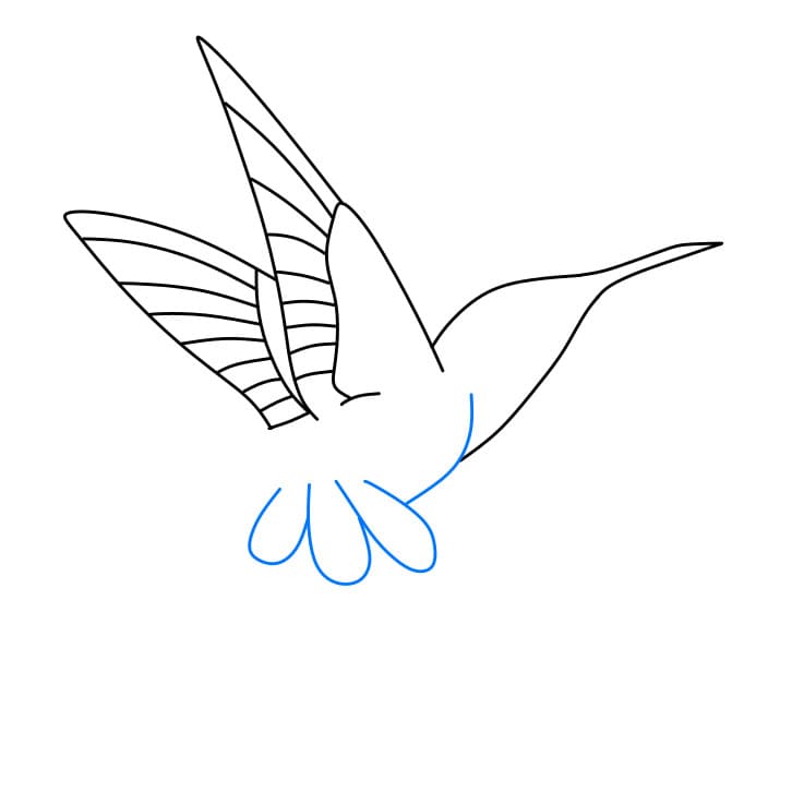 Hướng dẫn cách vẽ chim ruồi đơn giản dễ thương - Bước 4