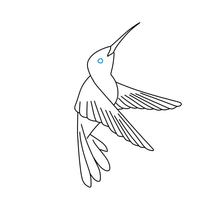 Hướng dẫn cách vẽ chim ruồi chi tiết từng bước cho bé - Bước 5