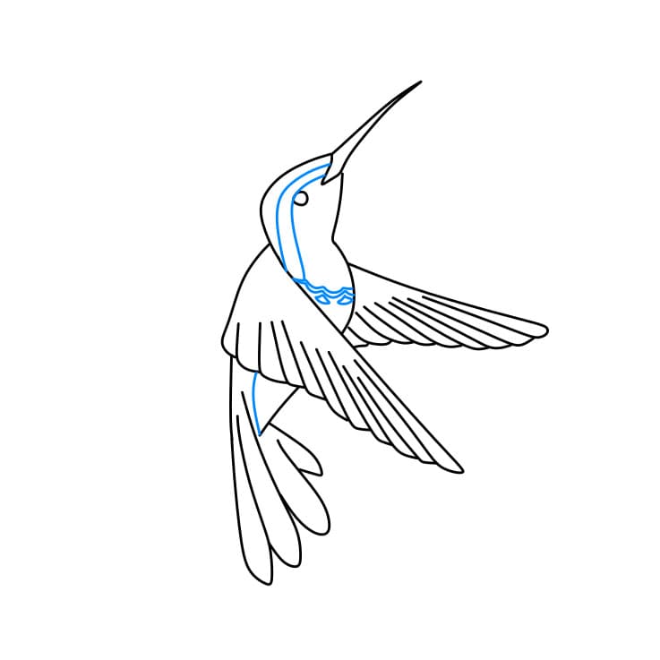 Hướng dẫn cách vẽ chim ruồi chi tiết từng bước cho bé - Bước 6