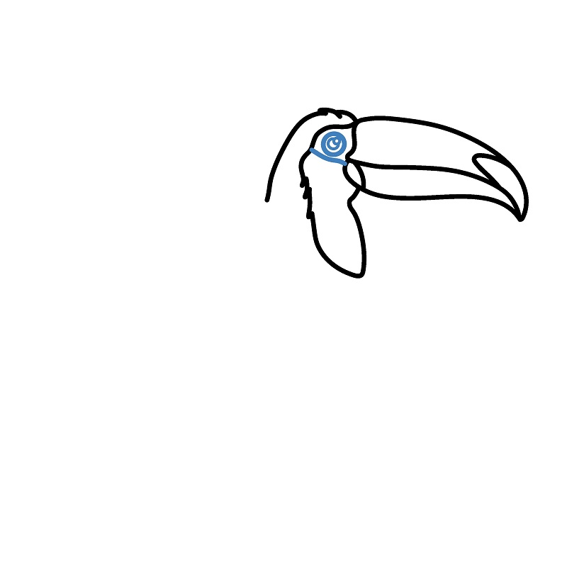 Hướng dẫn vẽ chim Toucan chân thực và chi tiết. - Bước 4