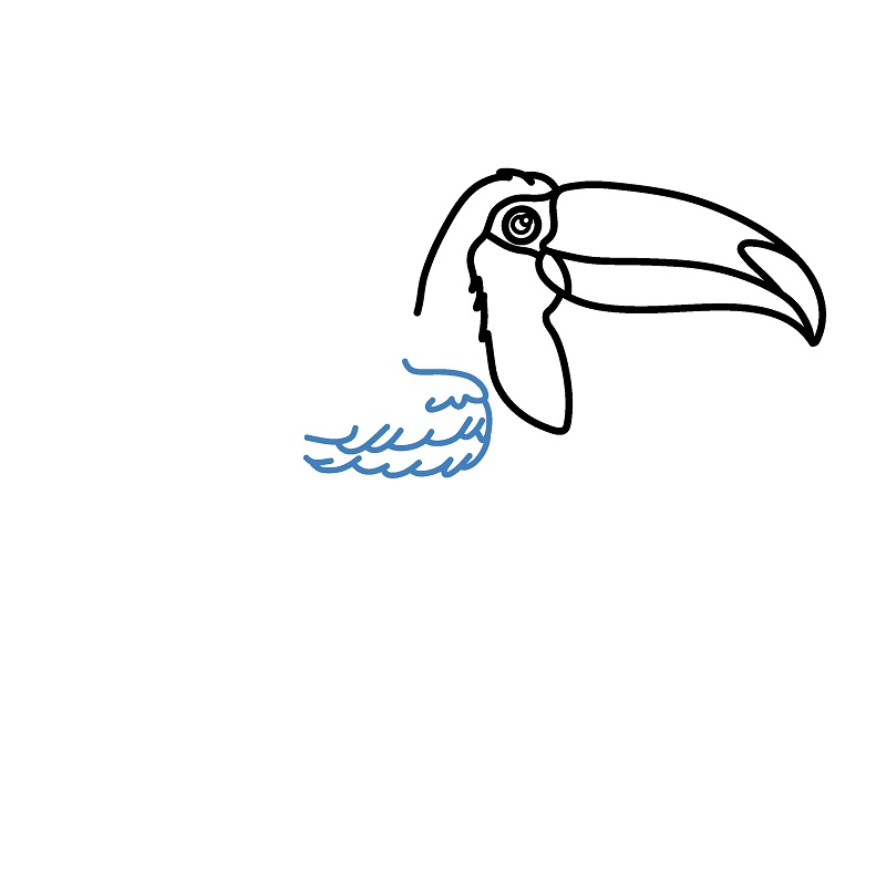 Hướng dẫn vẽ chim Toucan chân thực và chi tiết. - Bước 5