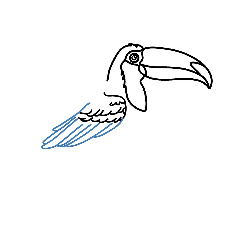 Hướng dẫn vẽ chim Toucan chân thực và chi tiết. - Bước 6