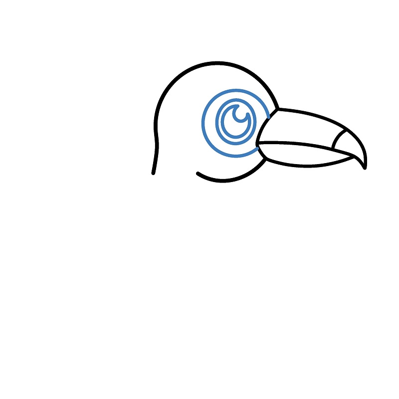 Hướng dẫn vẽ chim Toucan đơn giản. - Bước 3