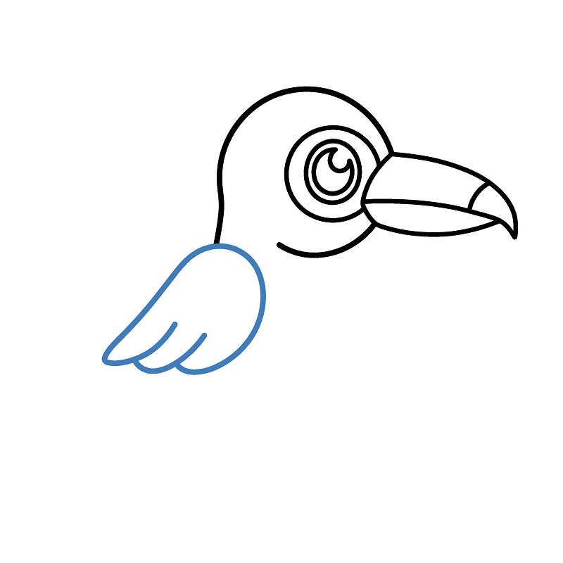 Hướng dẫn vẽ chim Toucan đơn giản. - Bước 4