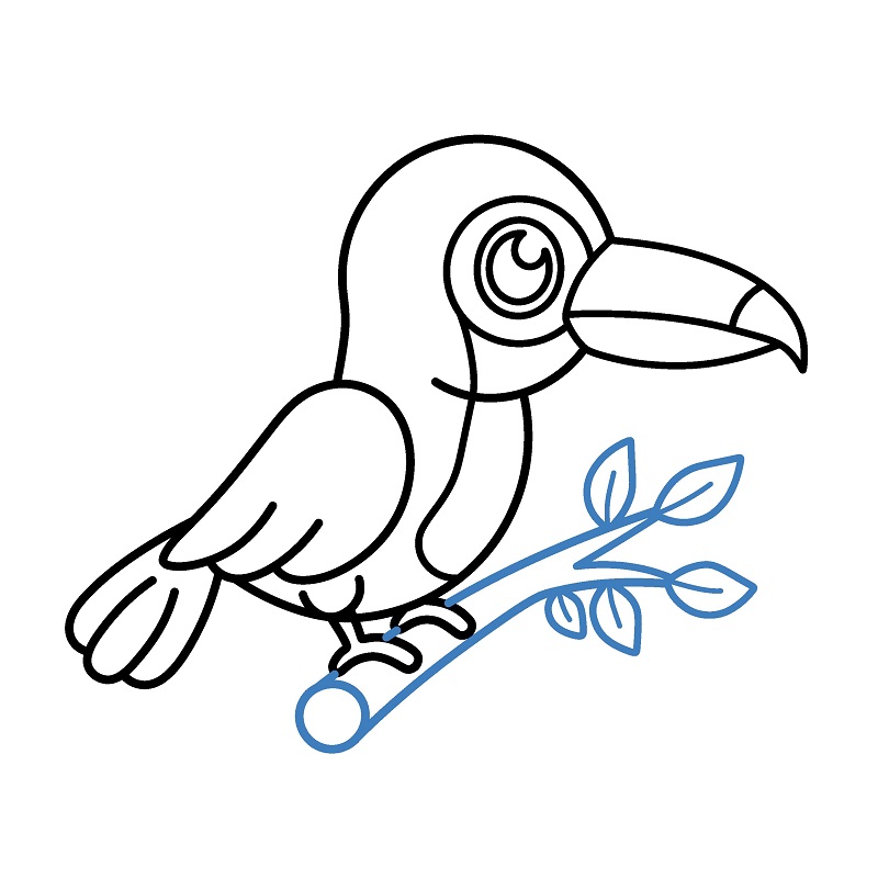 Hướng dẫn vẽ chim Toucan đơn giản. - Bước 8
