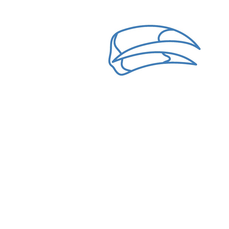 Hướng dẫn vẽ chim Toucan cực dễ và đẹp mắt. - Bước 1