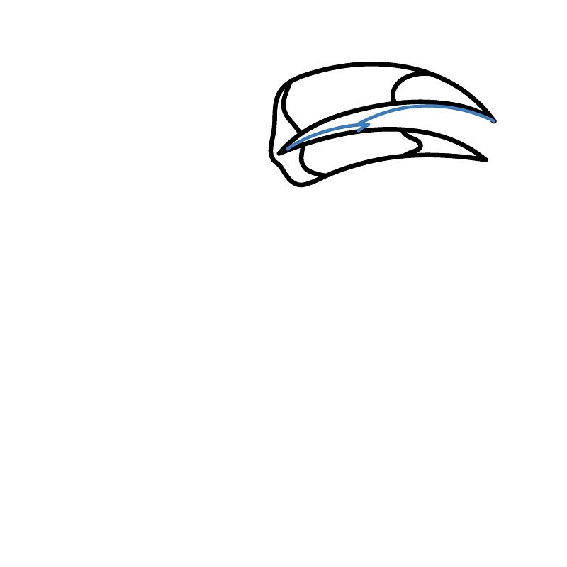 Hướng dẫn vẽ chim Toucan cực dễ và đẹp mắt. - Bước 2