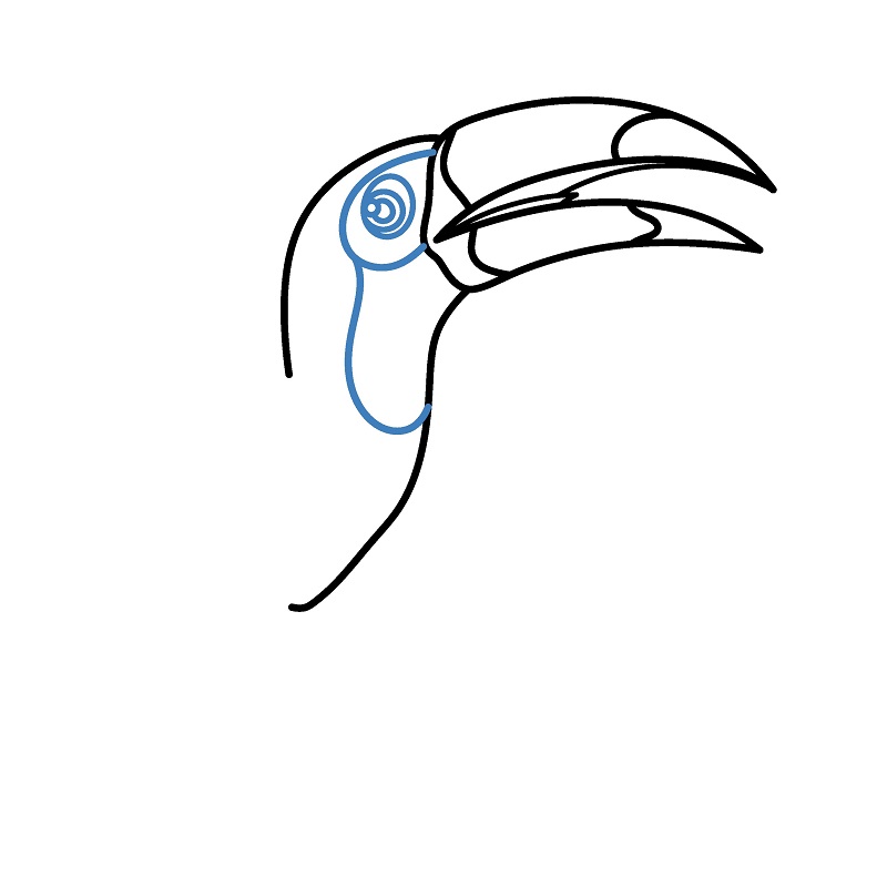 Hướng dẫn vẽ chim Toucan cực dễ và đẹp mắt. - Bước 4