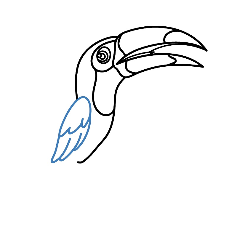 Hướng dẫn vẽ chim Toucan cực dễ và đẹp mắt. - Bước 5