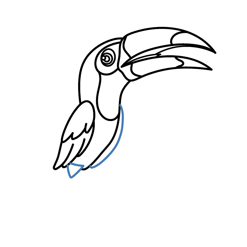 Hướng dẫn vẽ chim Toucan cực dễ và đẹp mắt. - Bước 6