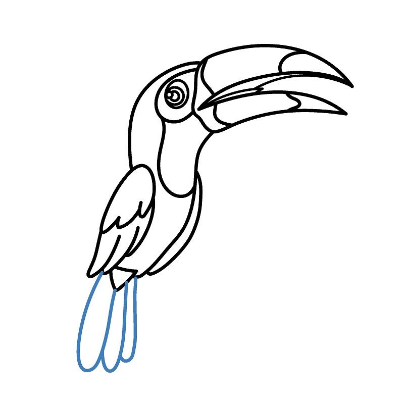 Hướng dẫn vẽ chim Toucan cực dễ và đẹp mắt. - Bước 7