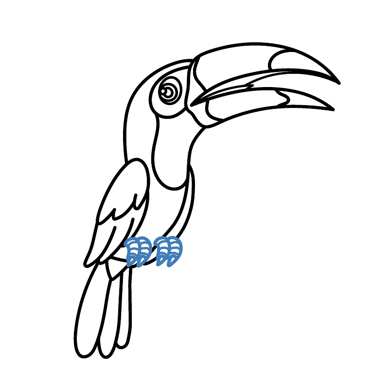 Hướng dẫn vẽ chim Toucan cực dễ và đẹp mắt. - Bước 8