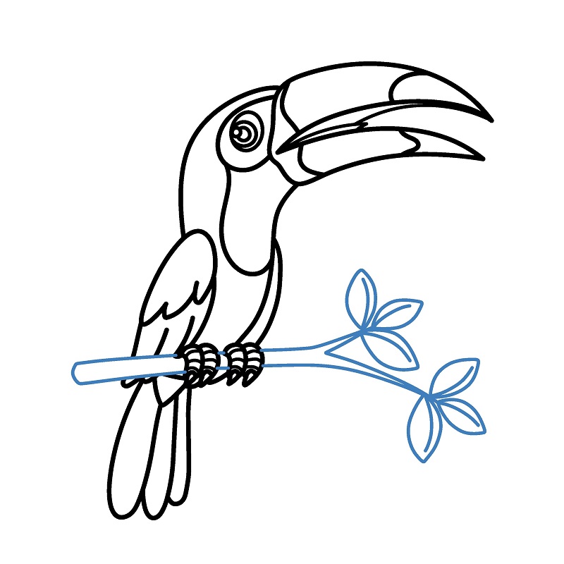 Hướng dẫn vẽ chim Toucan cực dễ và đẹp mắt. - Bước 9