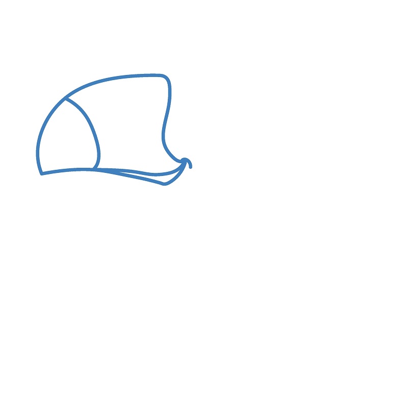 Hướng dẫn vẽ chim Toucan vui vẻ. - Bước 1