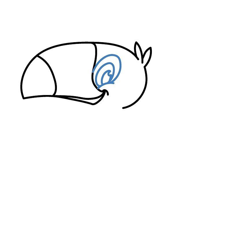 Hướng dẫn vẽ chim Toucan vui vẻ. - Bước 3