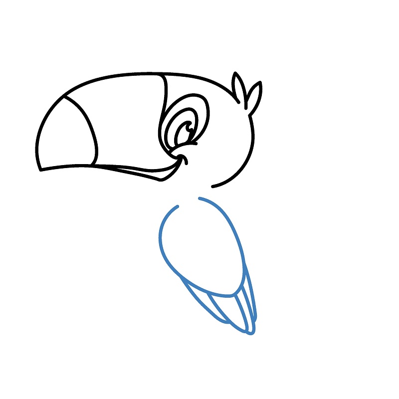 Hướng dẫn vẽ chim Toucan vui vẻ. - Bước 4