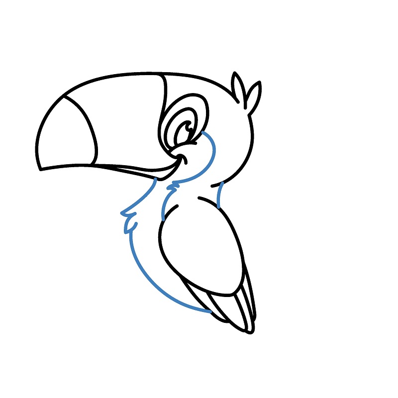 Hướng dẫn vẽ chim Toucan vui vẻ. - Bước 5