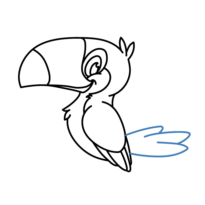 Hướng dẫn vẽ chim Toucan vui vẻ. - Bước 6