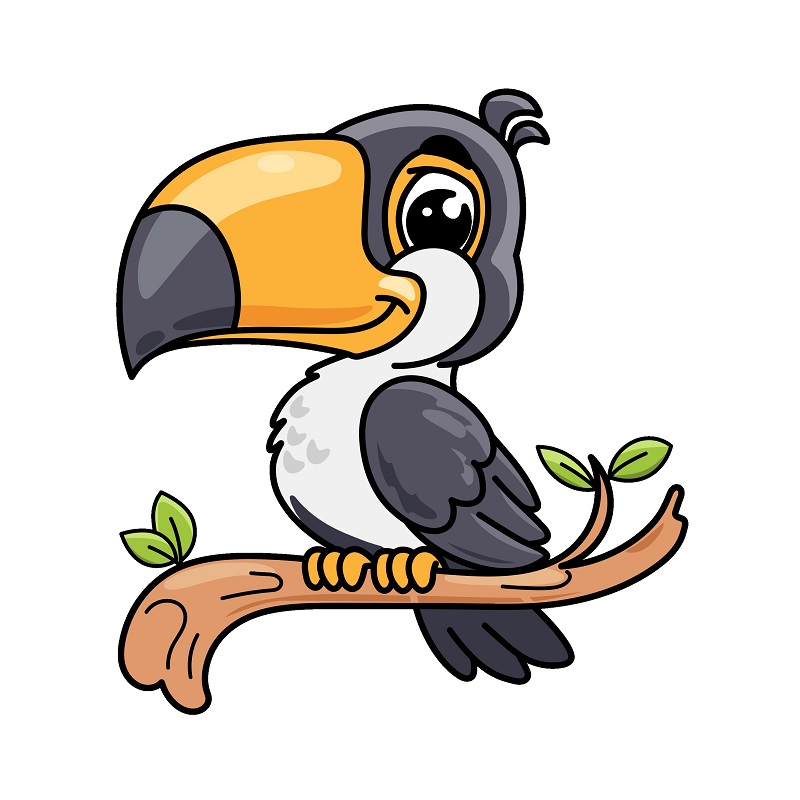 Cách vẽ Chim Toucan