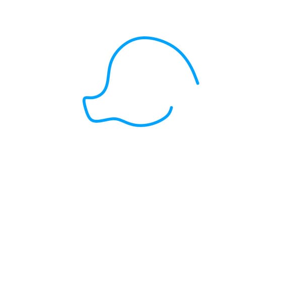 Hướng dẫn vẽ chú cá ngựa màu hồng - Bước 1