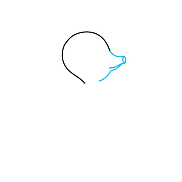 Hướng dẫn vẽ chú cá ngựa màu cam - Bước 2