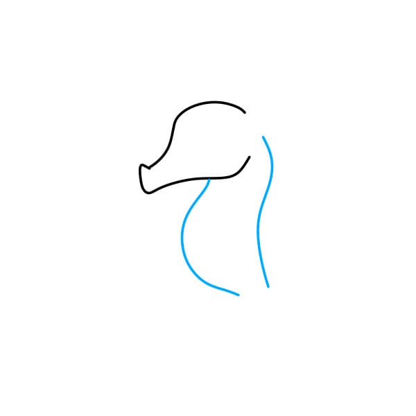 Hướng dẫn vẽ chú cá ngựa - Bước 2