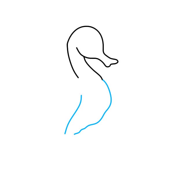 Hướng dẫn vẽ chú cá ngựa đơn giản và đẹp - Bước 3