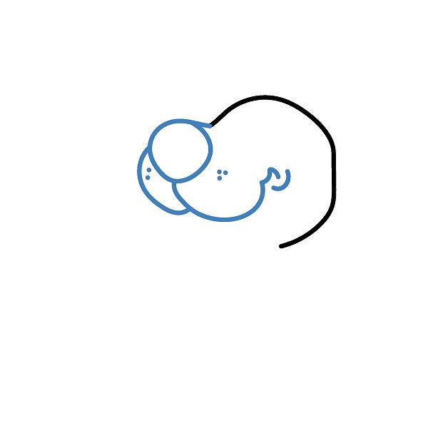 Hướng dẫn vẽ Scooby đáng yêu. - Bước 2