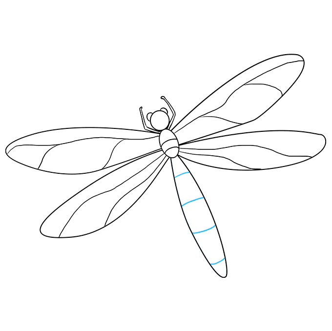 Hướng dẫn cách vẽ con chuồn chuồn đơn giản và thật đẹp cho bé - Bước 6