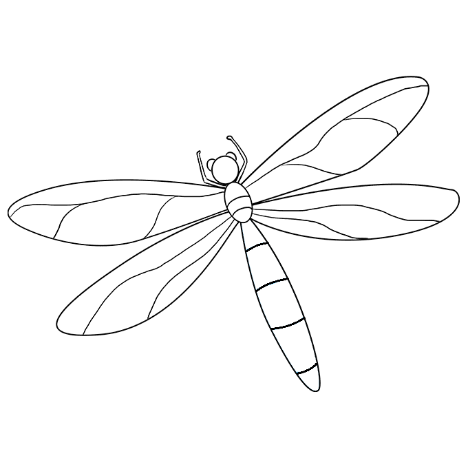 Hướng dẫn cách vẽ con chuồn chuồn đơn giản và thật đẹp cho bé