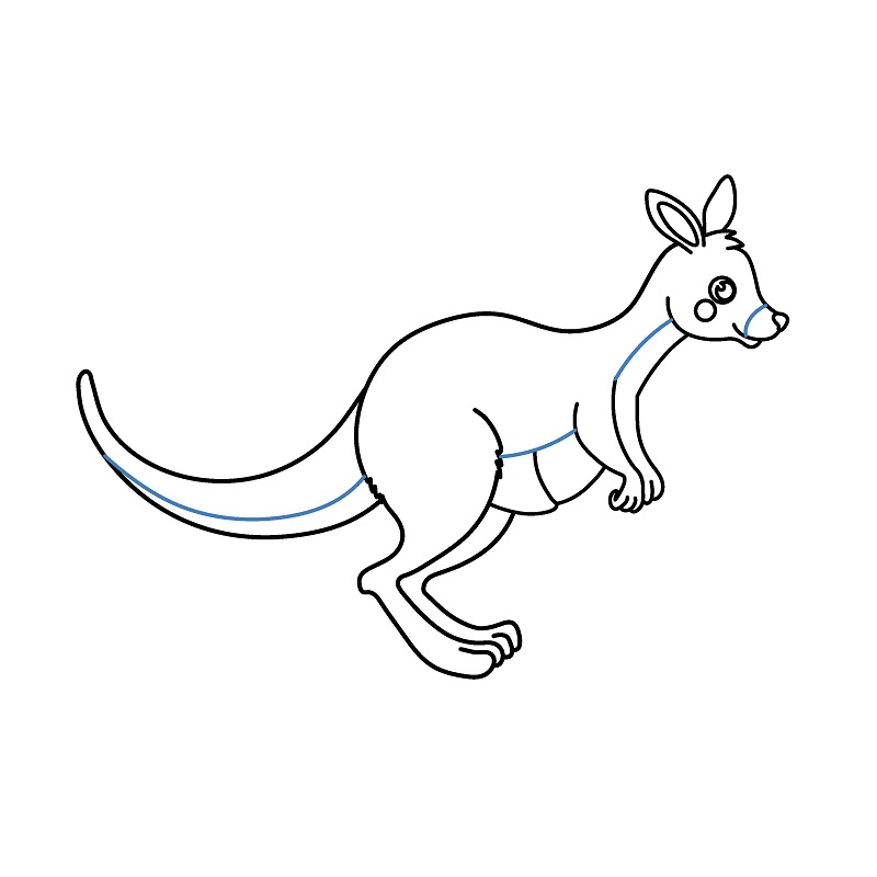 Hướng dẫn vẽ chuột túi đang chạy nhảy. - Bước 8