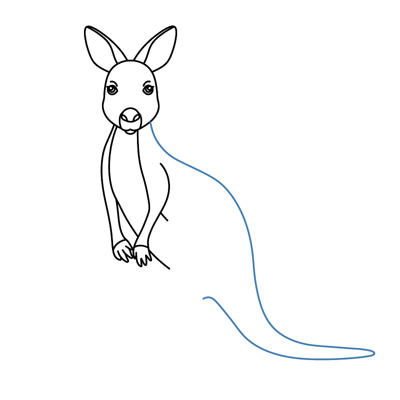 Hướng dẫn vẽ chuột túi đơn giản. - Bước 6