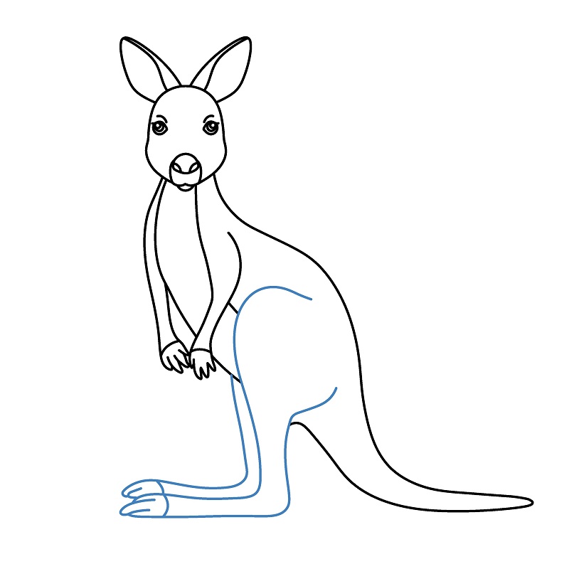 Hướng dẫn vẽ chuột túi đơn giản. - Bước 7