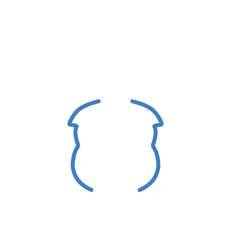 Hướng dẫn vẽ đầu của chuột túi. - Bước 1