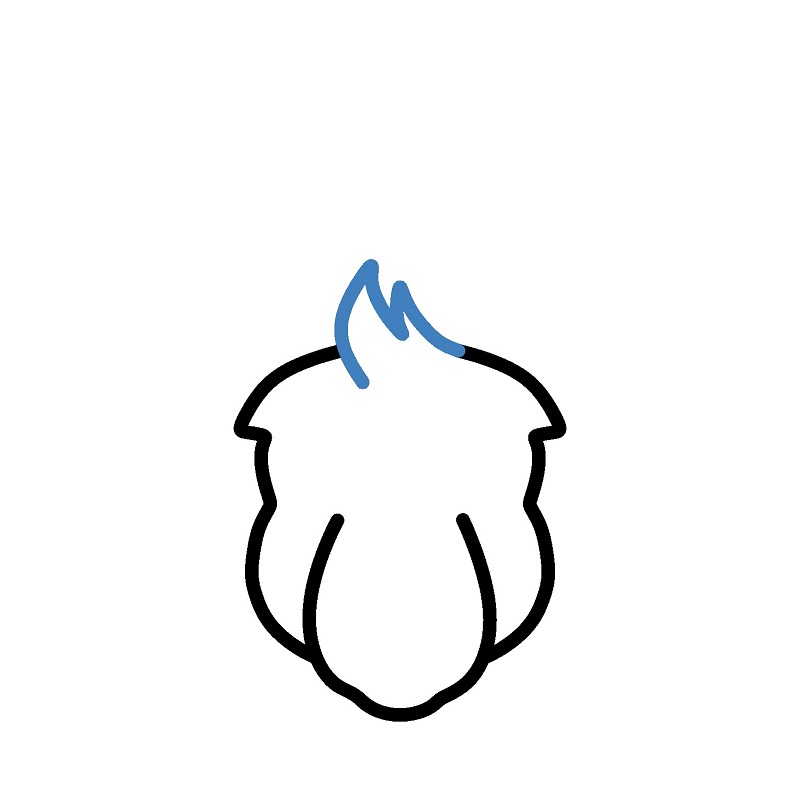 Hướng dẫn vẽ đầu của chuột túi. - Bước 3