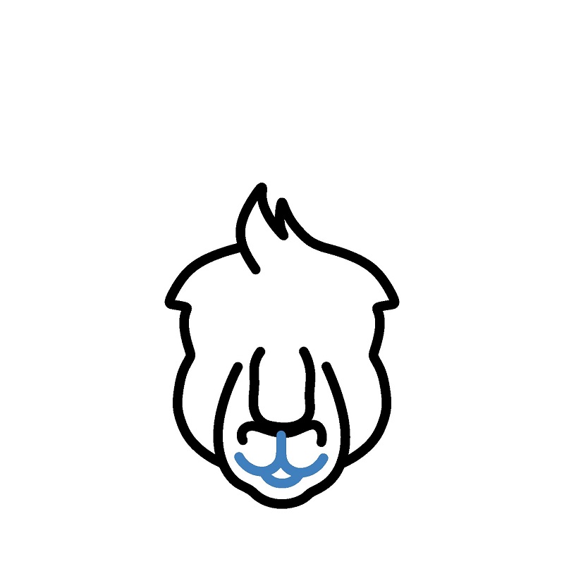 Hướng dẫn vẽ đầu của chuột túi. - Bước 5