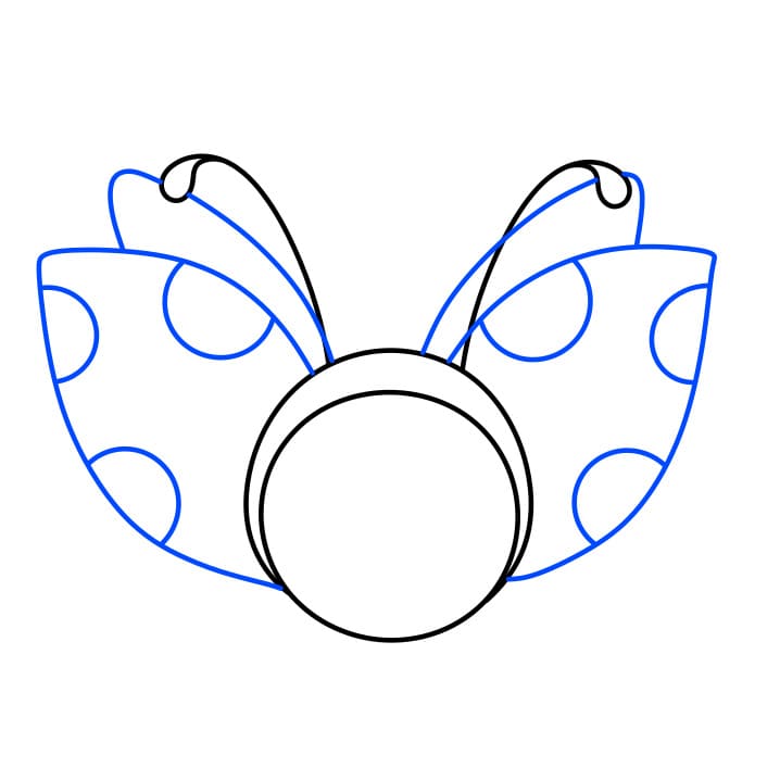 Hướng dẫn vẽ dễ dàng : con bọ rùa - Bước 3