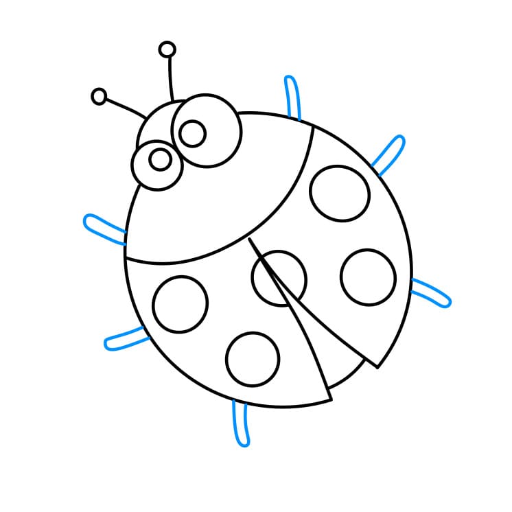 Hướng dẫn cách vẽ con bọ rùa chi tiết từng bước cho bé - Bước 5