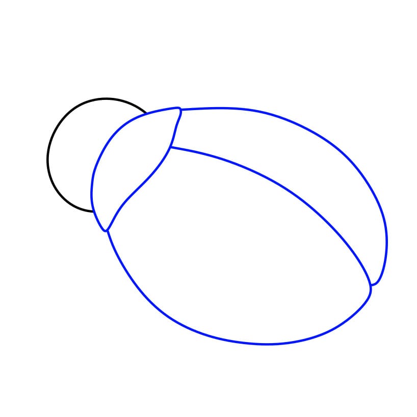 Hướng dẫn vẽ con bọ rùa đơn giản dễ thương - Bước 2