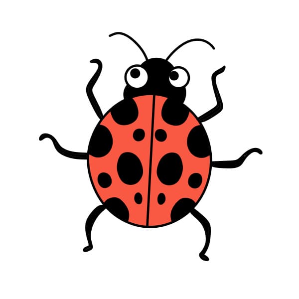 Cách vẽ con bọ rùa