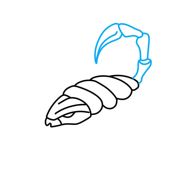 Hướng dẫn vẽ con bọ cạp đơn giản và đẹp cho bé - Bước 4