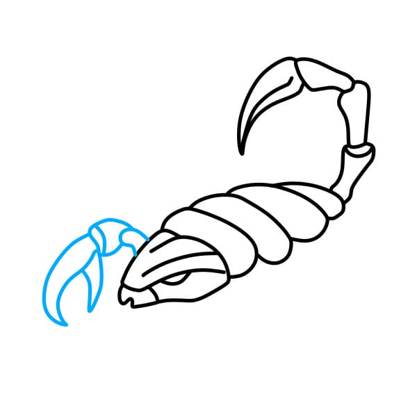 Hướng dẫn vẽ con bọ cạp đơn giản và đẹp cho bé - Bước 5