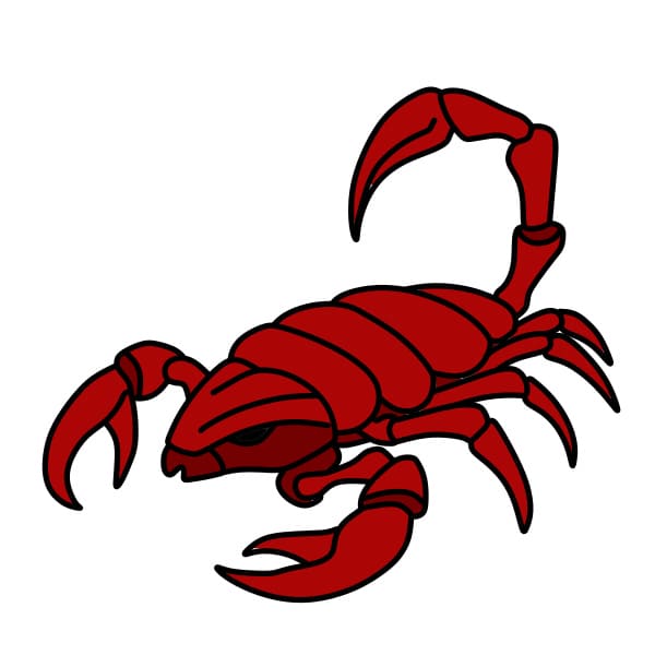 Hướng dẫn vẽ con bọ cạp đơn giản và đẹp cho bé - Bước 7