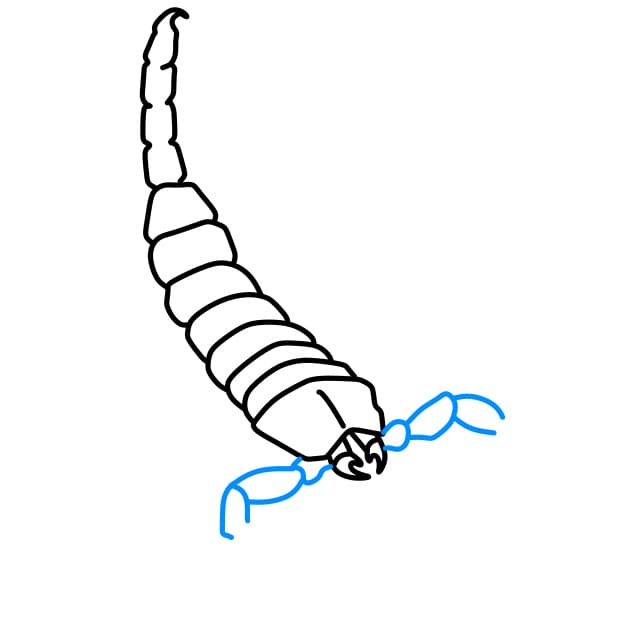 Hướng dẫn vẽ con bọ cạp hung dữ - Bước 4