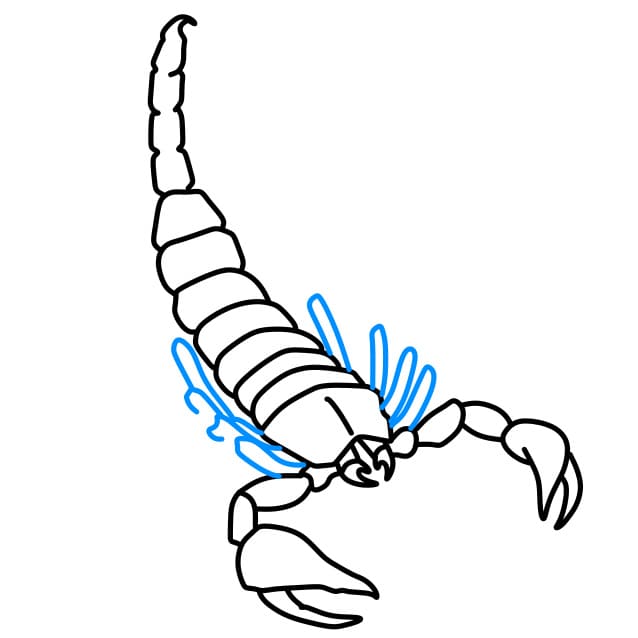 Hướng dẫn vẽ con bọ cạp hung dữ - Bước 5