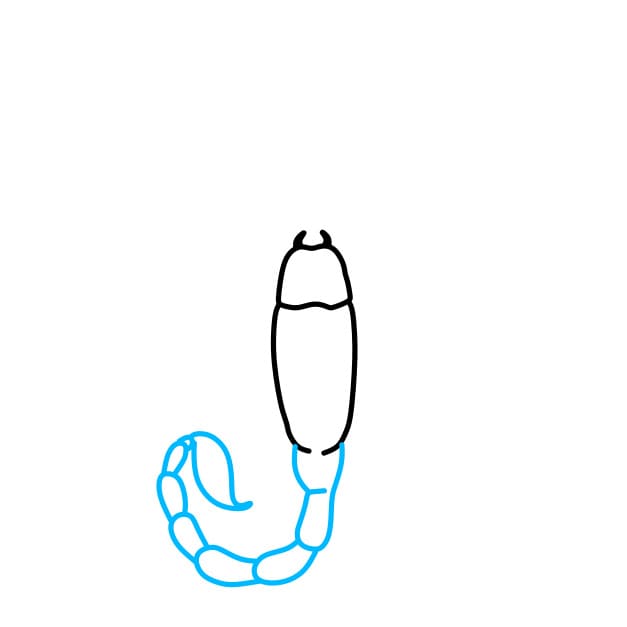 Hướng dẫn vẽ con bọ cạp sa mạc - Bước 3