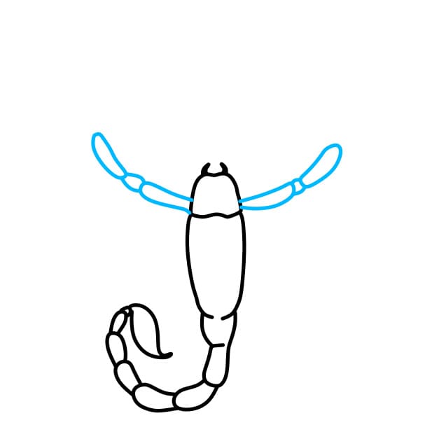 Hướng dẫn vẽ con bọ cạp sa mạc - Bước 4