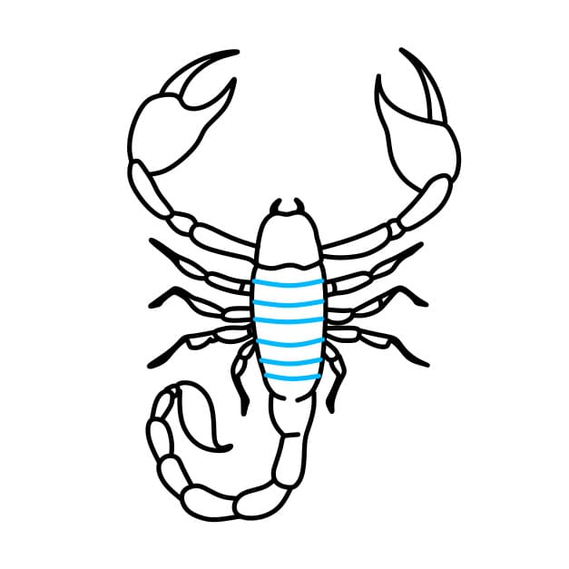 Hướng dẫn vẽ con bọ cạp sa mạc - Bước 6