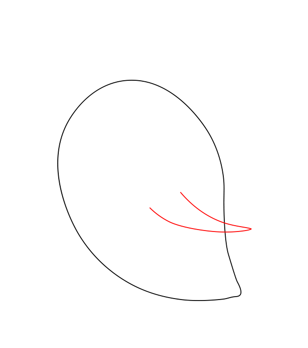 Hướng dẫn cách vẽ con chim siêu đáng yêu và ngộ nghĩnh cho bé - Bước 2